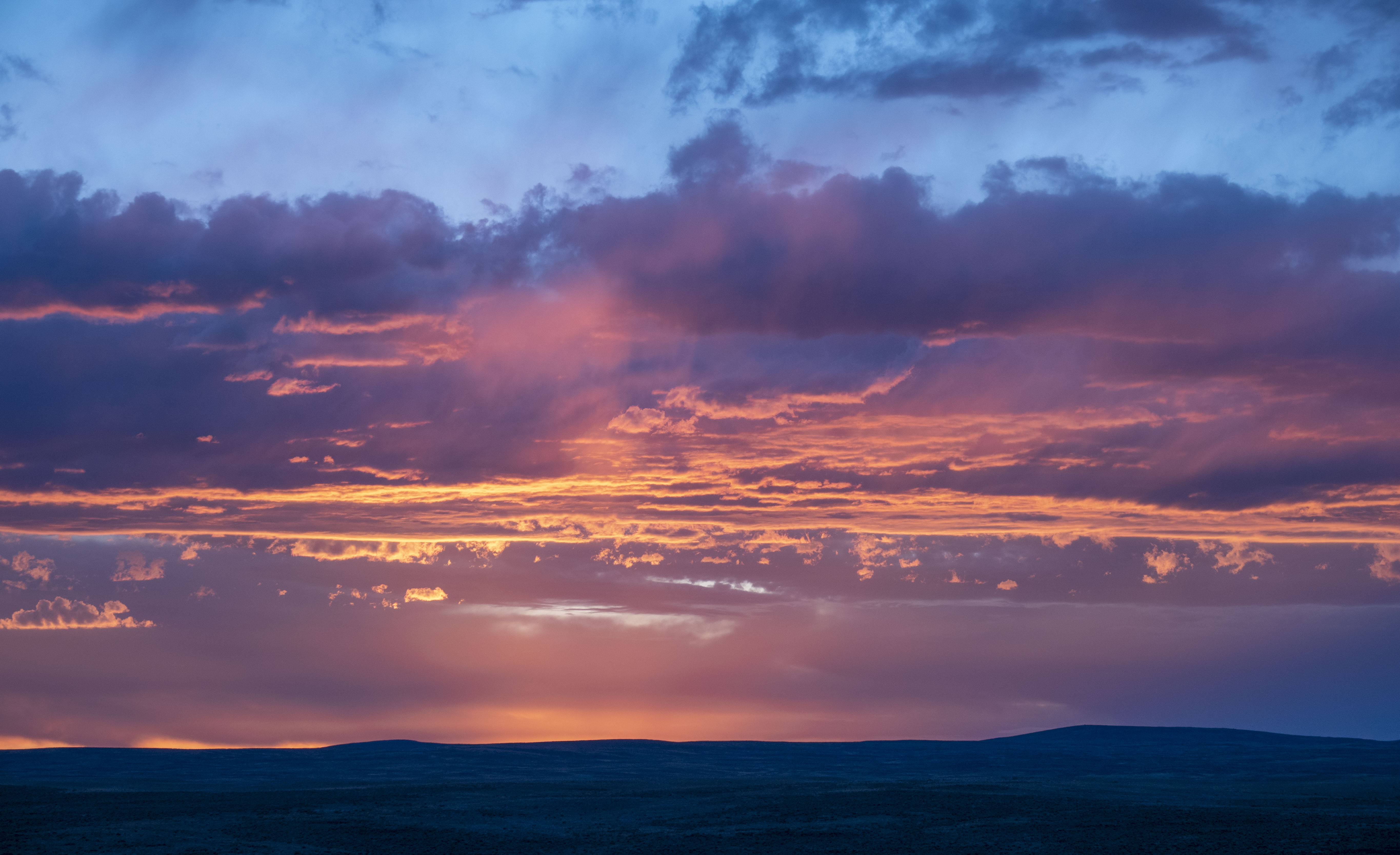 Sunset over Wyoming fields1. Photo by Strange Biology.