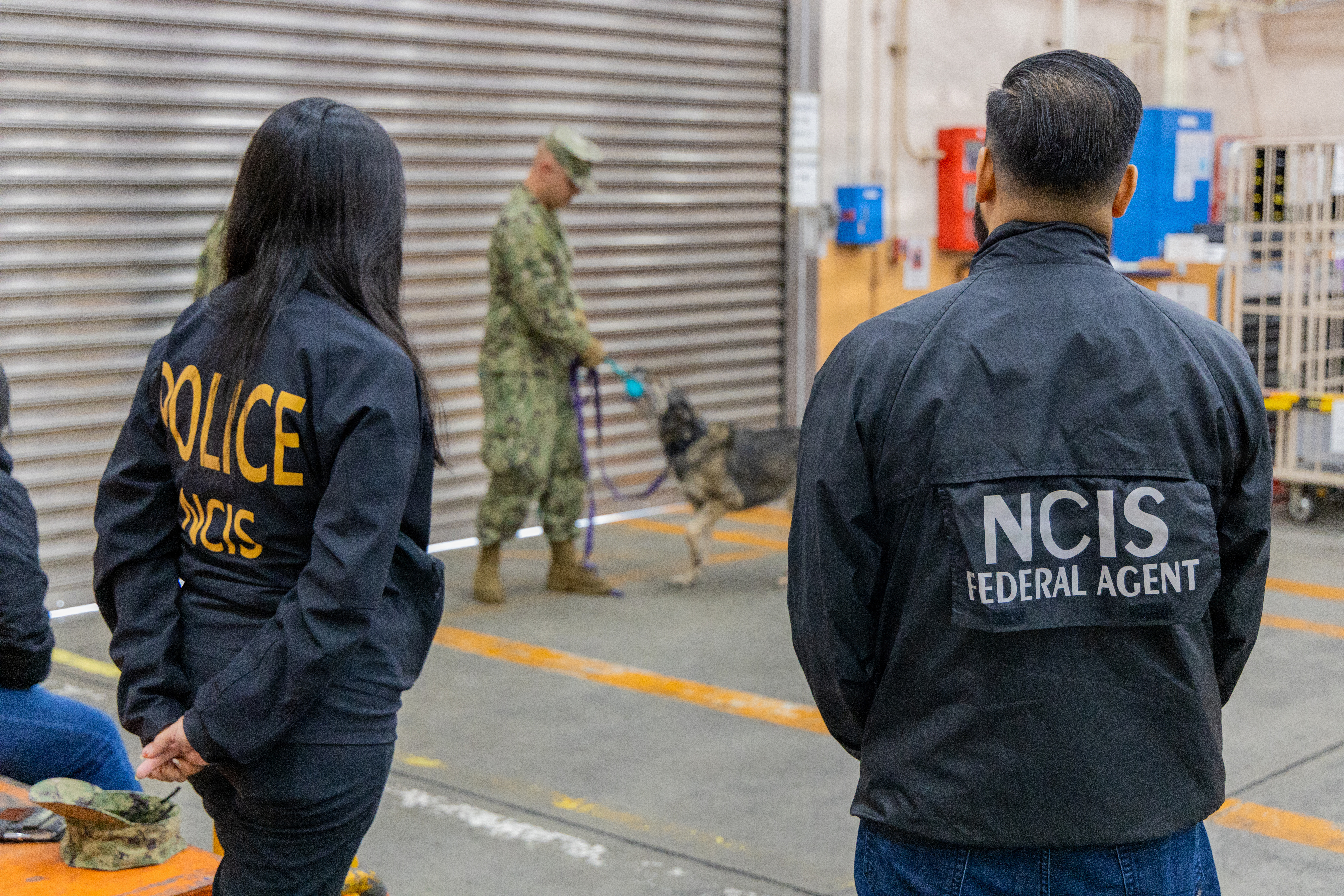 YOKOHAMA, Japan (December 19, 2025) — A military working dog and handler, alongside Naval Criminal Investigative Service (NCIS) agents and Commander, Fleet Activities Yokosuka (CFAY) Security personnel, conduct a routine K-9 sweep at postal distribution facility. The coordinated effort is part of standard safety and security measures designed to help maintain a safe and welcoming environment for service members, families, and civilian employees during normal operations. (U.S. Navy photo by Sheryl Sullivan.)